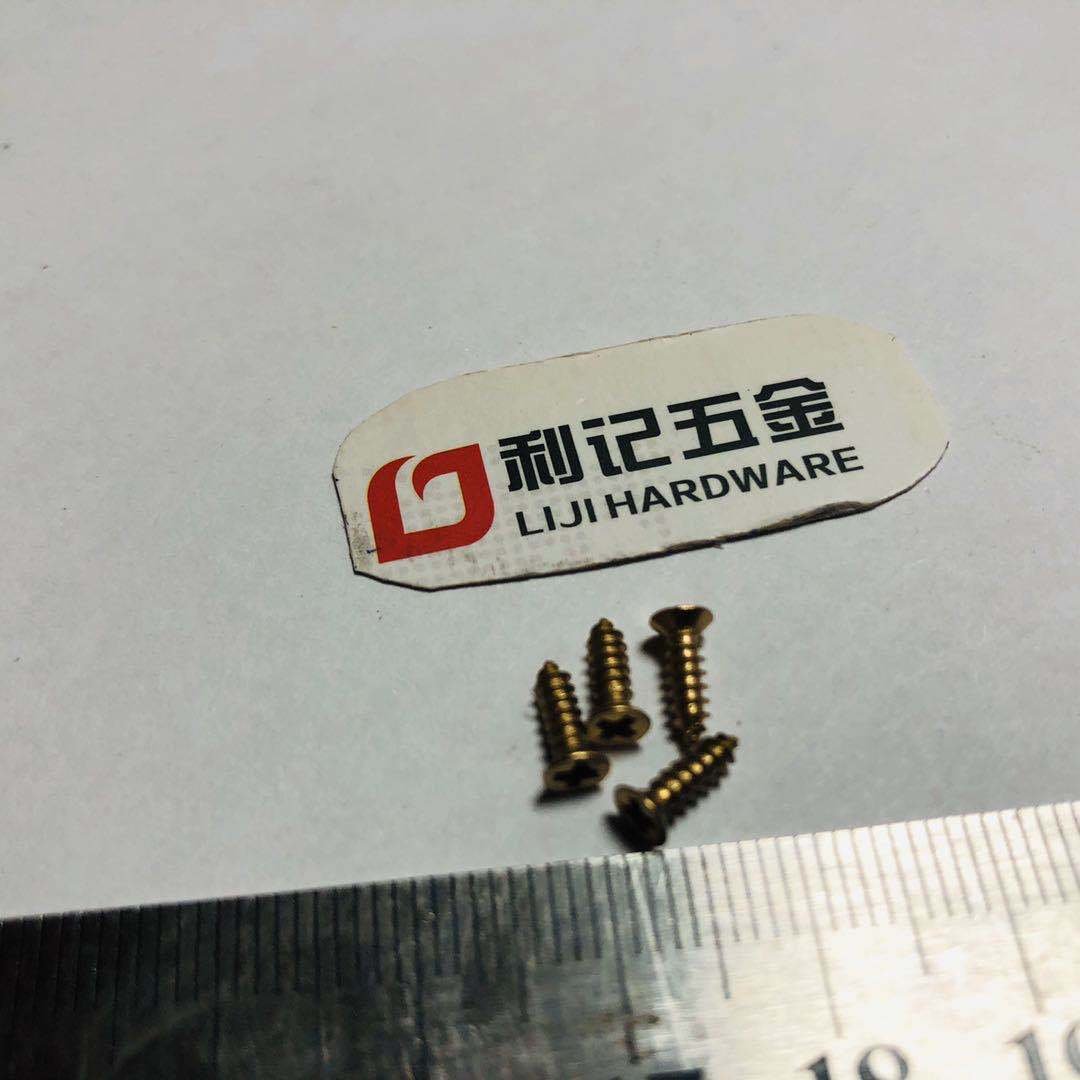 Iron Screw 2.3x8x8mm 6